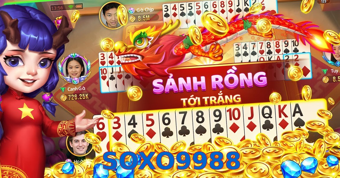 SOXO9988